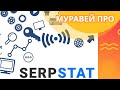 Serpstat обзор что это такое, анализ конкурентов, ключевые слова, проверка позиций.