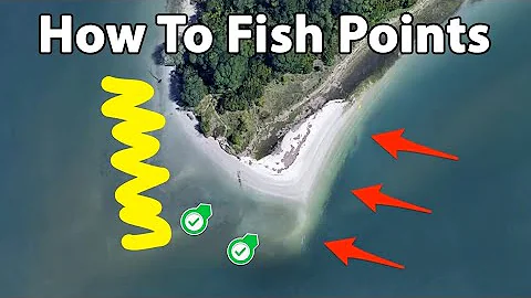 3 Tips For Fishing Points To Catch Redfish, Trout, & Snook