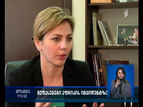 შეფასებები სექსუალურ ძალადობაში ქართველი სამხედროების სავარაუდო მონაწილეობასთან დაკავშირებით