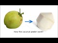 How the coconut peeler work?