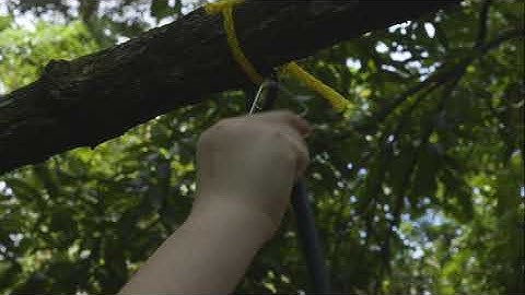 Module 3  4 Clip Edit