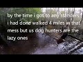 Deer Dog Drive 11/10/2018 Hunting The Big Swamp I Lost My Shoes