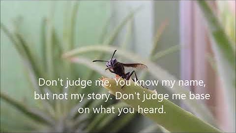 Be kind to one another, No judging