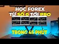 Hc forex t s 0 ti pro trong vng 45 pht ton tp