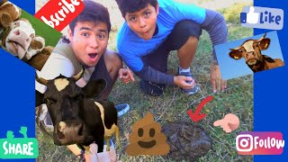 ✔️UN DIA⛅EN EL CAMPO🐎Parte 1🐄🤠 A day at the rural town🐎🐄🤠😎💥