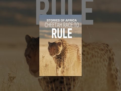 Stories of Africa: Cheetah Race to Rule
