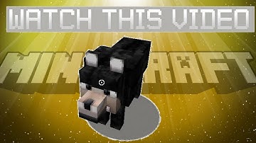 HOW TO GIVE CUSTOM NAMES TO ENTITIES / ANIMALS   •   Minecraft 1.8