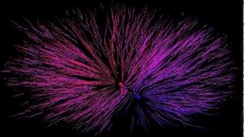 Magnetic Attractors