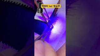 led 속눈썹 연장 가이드라인🫶🏻 속눈썹 연장 배우기 led속눈썹 연장 글루