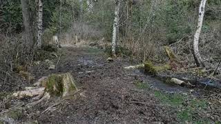 Albion Park, February 2021