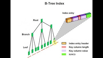 Understanding Oracle B-Tree and Bitmap indexes in urdu