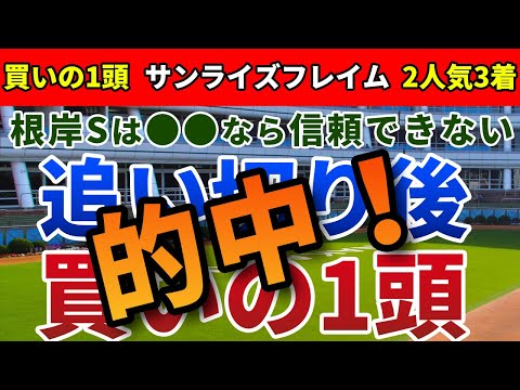 根岸ステークス2024 追い切り後【買いの1頭】公開！大箱・長い直線・冬場の馬場に注目！この舞台だからこそ狙うべき1頭は？