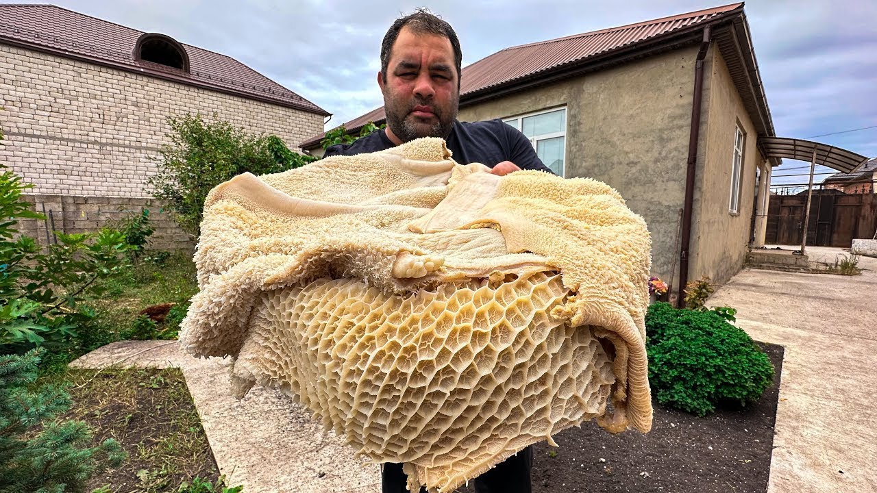 From Simple Offal to Royal Dish! Tripe Done Right!