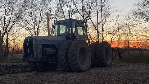 The Silver Bullet Comes Out To Play: Chiseling Bean Stubble