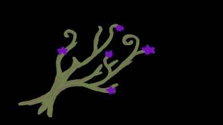 vines