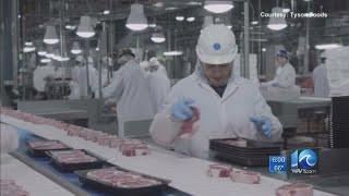 Northam talks 'phase 1' of reopening, updates on Accomack's chicken plant COVID-19 cases