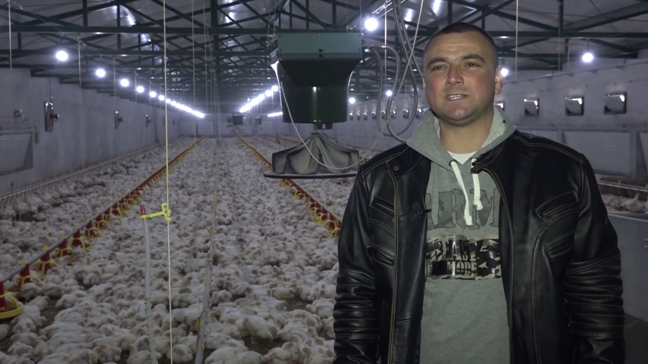 Naša priča ep 241 02.04.2020. Tov pilica, Srđan Miletić, Tolić