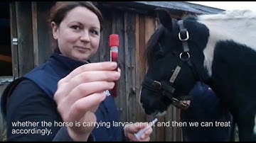 Blood testing for small redworm