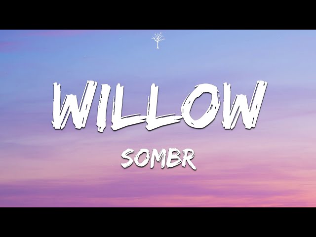 sombr - willow (Lyrics) class=