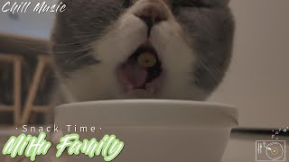 [Chillout with kittens] Taroball is a cute glutton ｜Chill Music, Background, Work, Sleep by Mihu family Take a break 298 views 4 months ago 14 minutes, 17 seconds