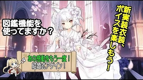 تحميل アズレン 結婚