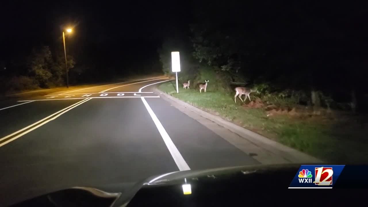 Deer Mating Season Underway In North Carolina YouTube deer-mating-season-underway-in-north-carolina-youtube