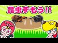 【寸劇】昆虫対決！カブトムシや巨大クモやクワガタが大ゲンカ！一番強いのはだれだ〜！？虫取り採集・子供向け知育教育｜きかんしゃトーマスチャンネル｜アプリ・ゲーム実況｜ネオスキッズTV
