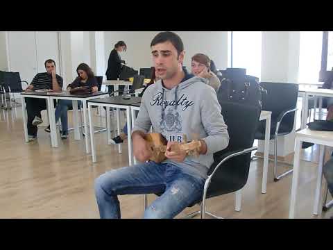 თემო ლიპარტელიანი- მიყვარს სადაც დავიბადე