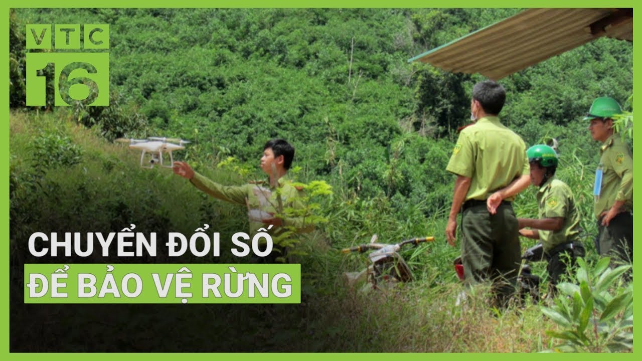 Chuyển đổi số để bảo vệ rừng | VTC16