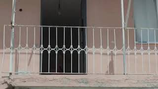 Sıfır Bir Bir Zamanlar Adana 4 Sezon 5 . Blüm Yayındadir