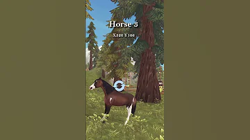 Lost Horse Location August 22 Sso Sso2025 Starstable Starstableonline 
