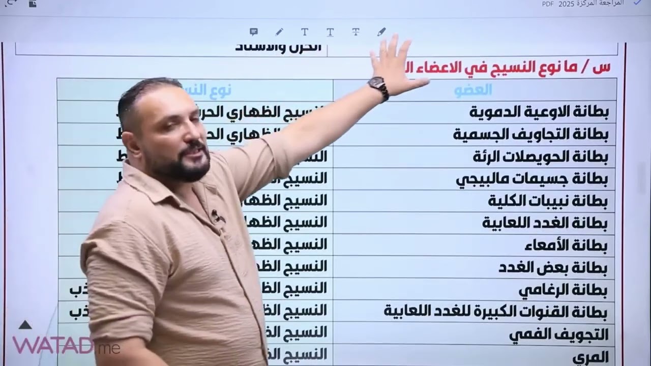 المراجعة المركزة (الفصل الثاني)