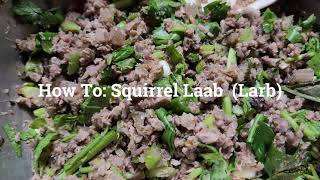 How To Cook Squirrel Laab Larb