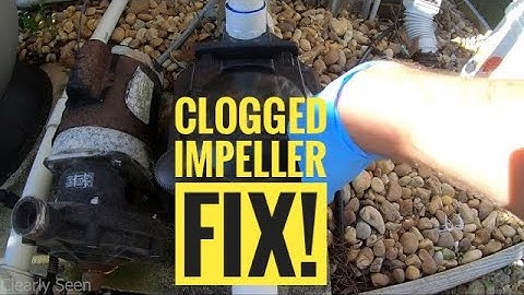 Clogged Impeller Pool Pump - How to unclog a pool impeller the easy way!