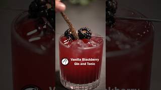 Vanilla Blackberry Gin and Tonic