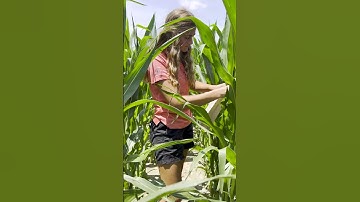 Cultivating the Future: Mina Reising