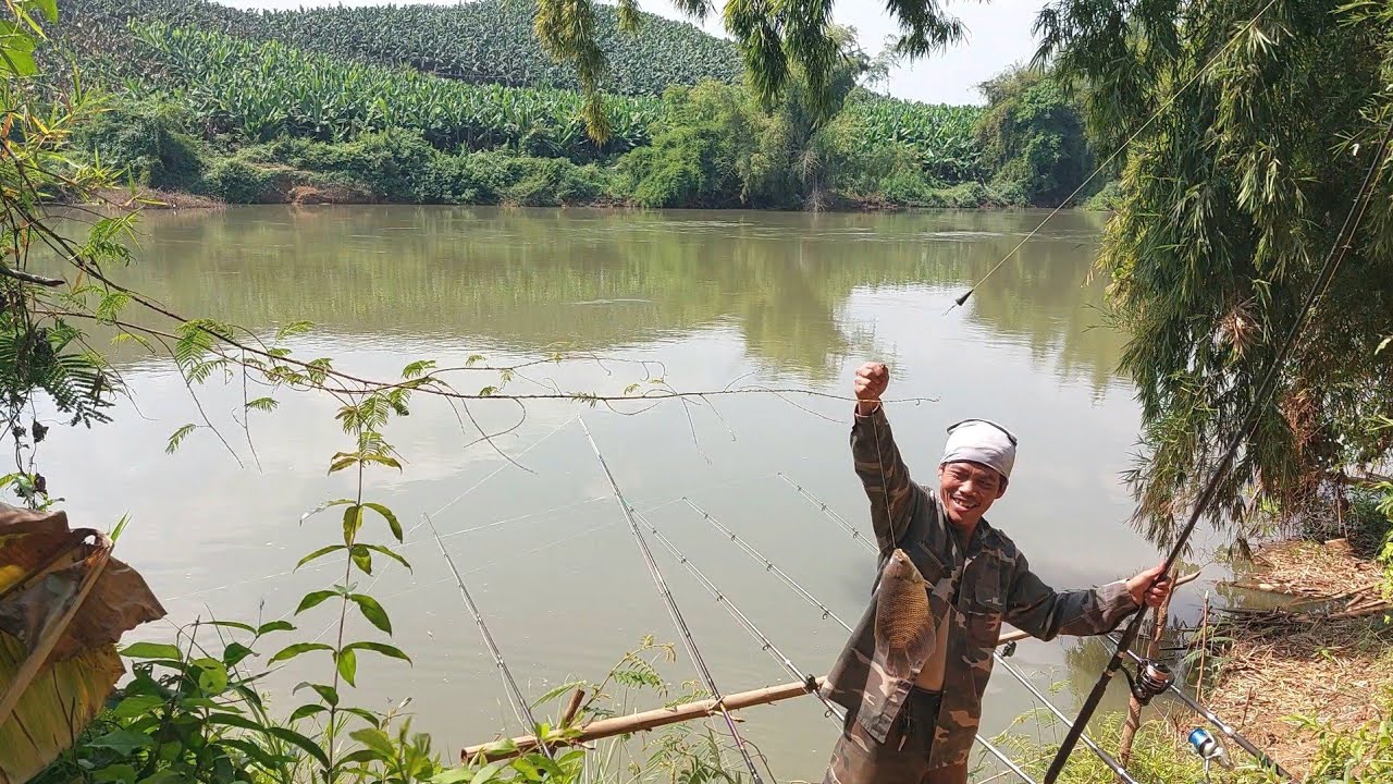 Câu Cá Sông Bé Trúng Mánh Đụng Bầy Cá Tai Tượng Quá Êm