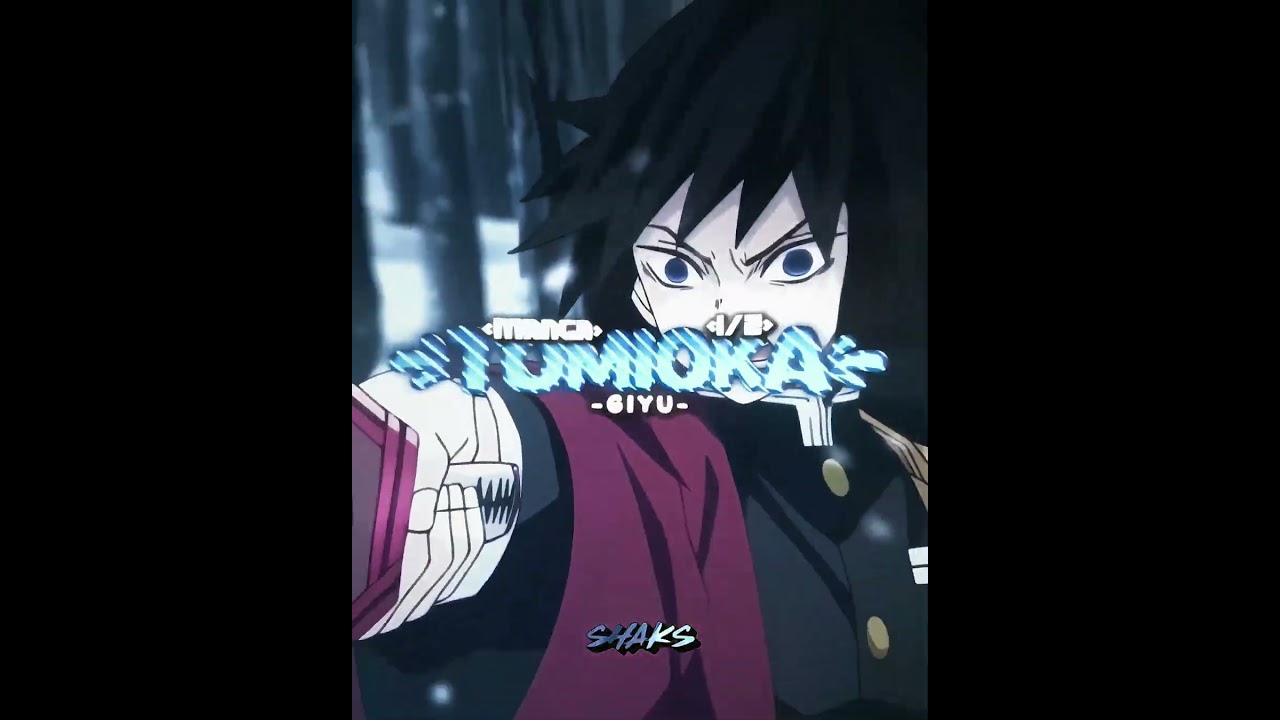 Hashira Elimination Wheel Part 3 (Tomioka VS Mitsuri)