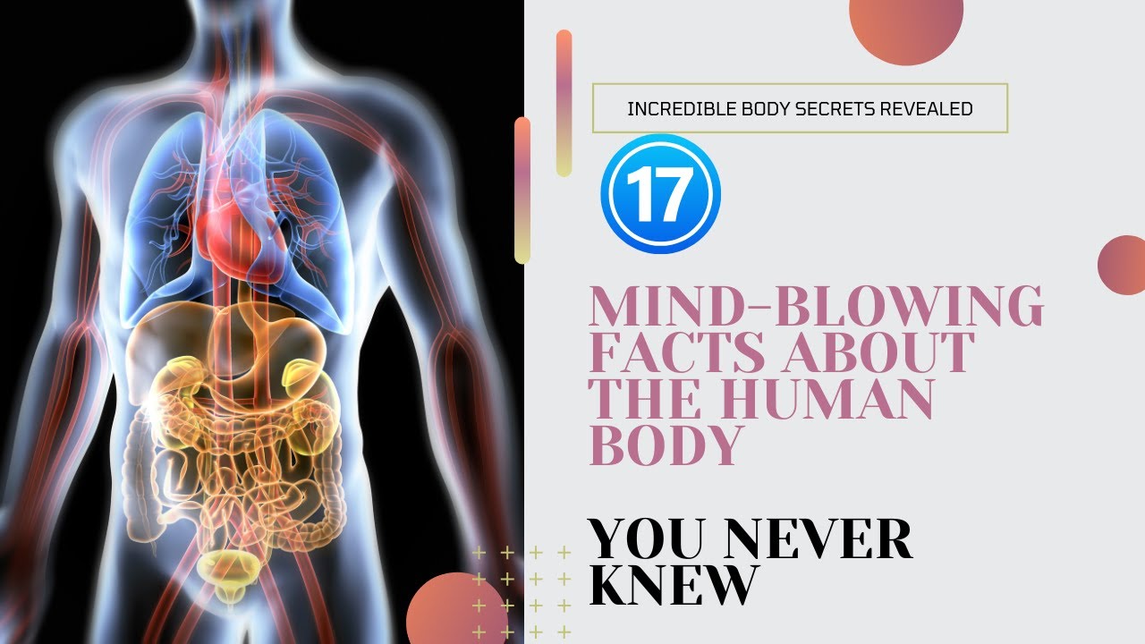 "17 Mind-Blowing Facts About the Human Body You NEVER Knew! 🤯 | Boost ...