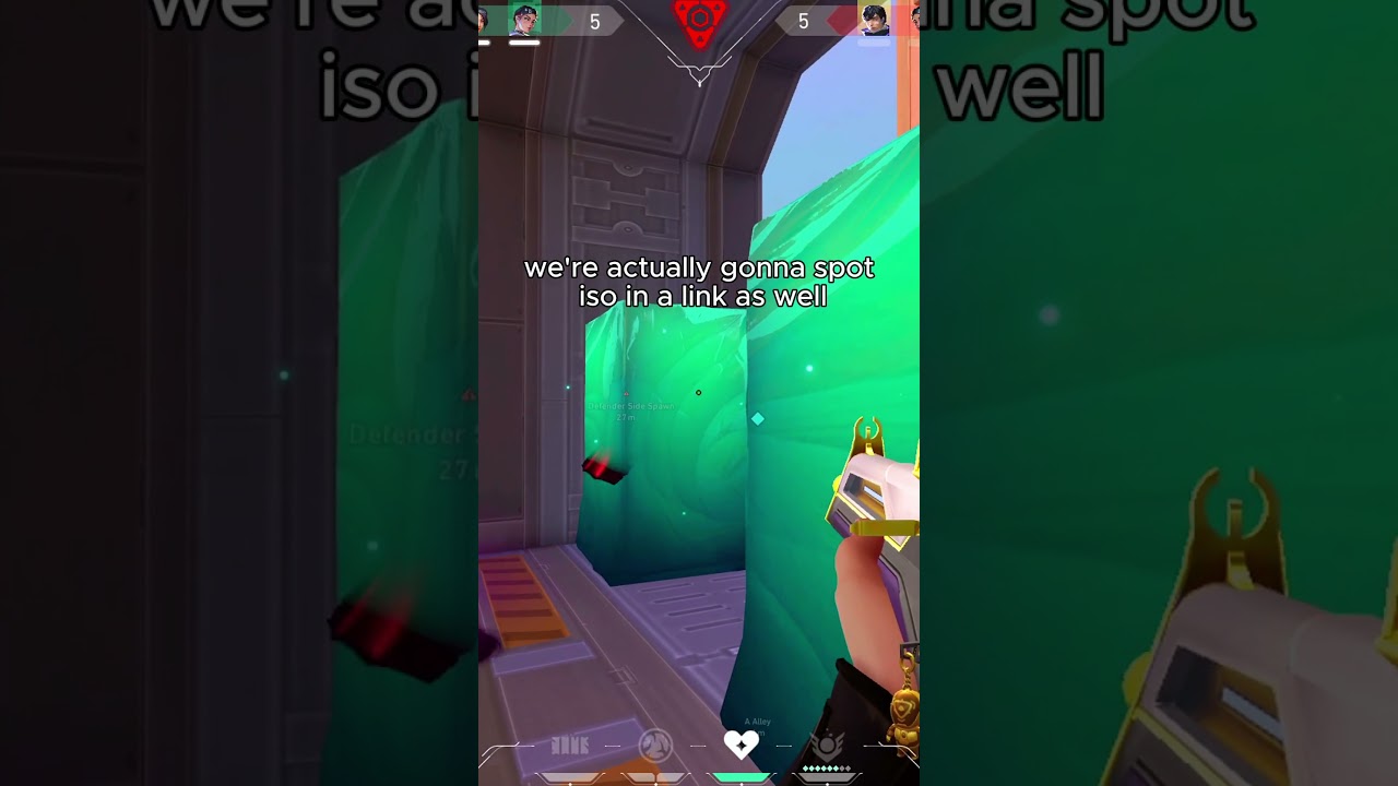 MY FAVORITE PLANT SPOT ON SUNSET 