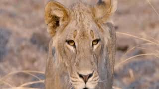 Allahin Merhameti̇ni̇n Ve Kudreti̇ni̇n Büyüklüğü