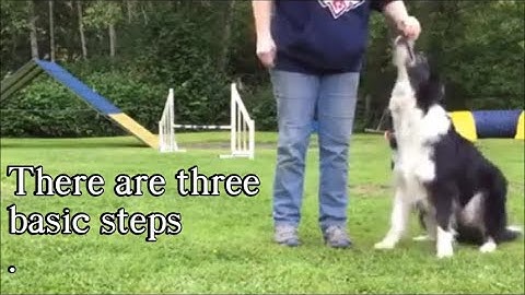 Beginning Agility Front Cross Flatwork