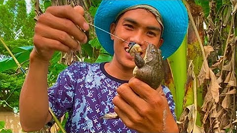 Câu Ếch Mùa Lũ Đụng Luồng Ếch Bự Trúng Mánh | Xinh Cá Miền Tây