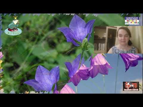 Чтение рассказа "Фарфоровые колокольчики" из книги Юрия Коваля «Воробьиное озеро»_"Экочудо-2021"