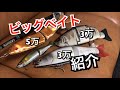 ビッグベイト、ジャイアントベイトの紹介！
