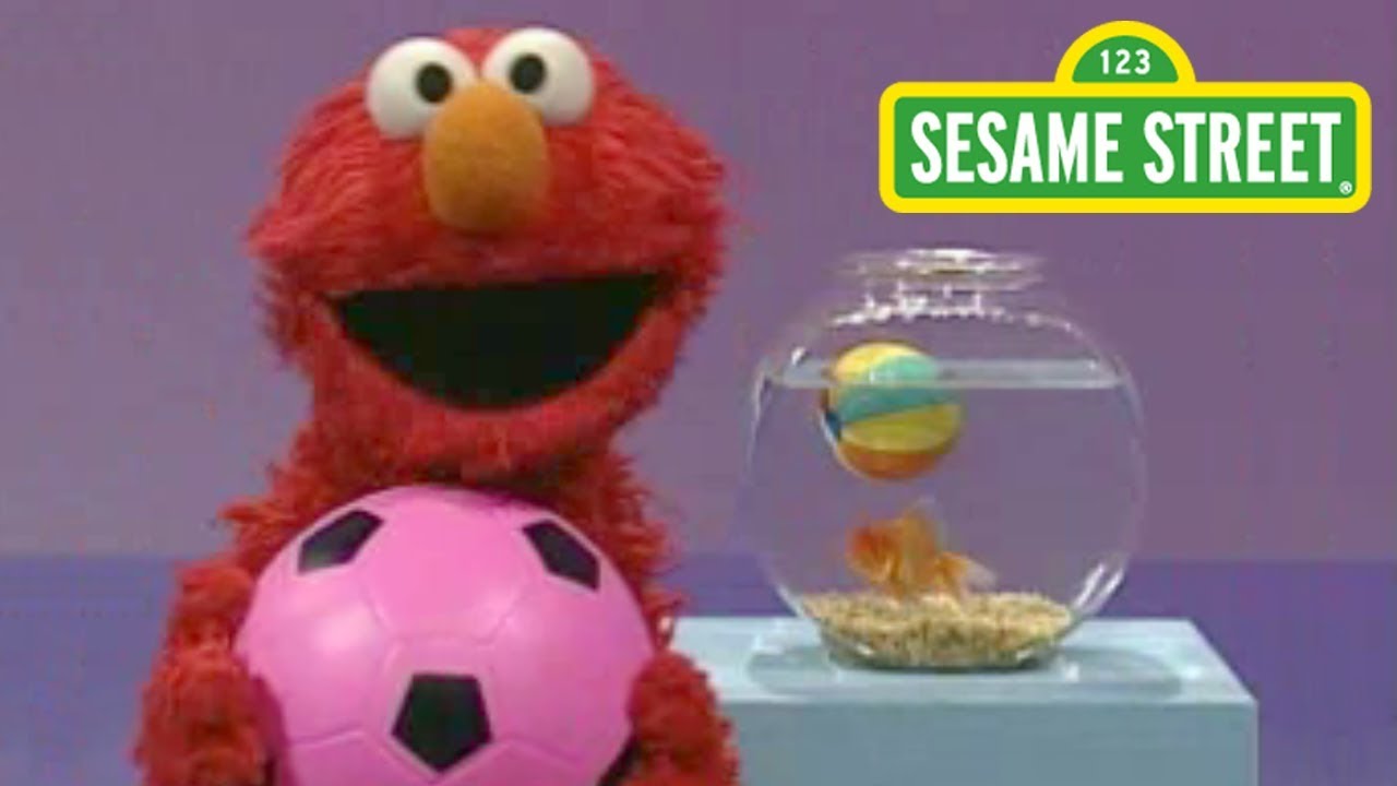 Elmo's Letter Adventure. YouTube