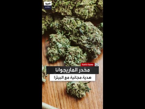 فريق مهمة خاصة يوثق بالصوت والصورة واقعة غير قانونية لبيع مخدر الماريجوانا 