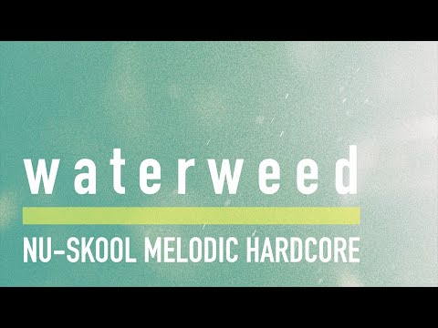 waterweed - Cure (Visualizer)