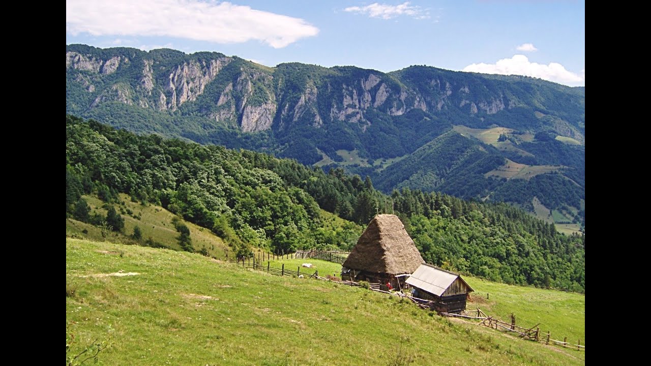 Converse with a Orthodox Christian Hermit