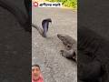 #animals #reptiles #lizard #iguana #wildlife #uttarakhand #fight #viralshort #ytshorts #danger
